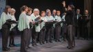 Música i solidaritat a la festa de Santa Cecília