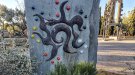 El Mestre Güell: el record de les entitats (17)